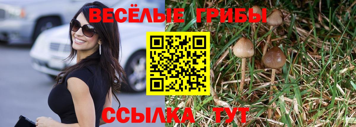 Псилоцибиновые грибы прущие грибы Коркино